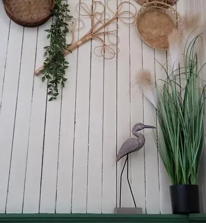 Przypudrowane Tpd 2a Jastrzębia Góra