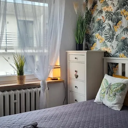 Apartament Przypudrowane Tpd 2a Jastrzębia Góra