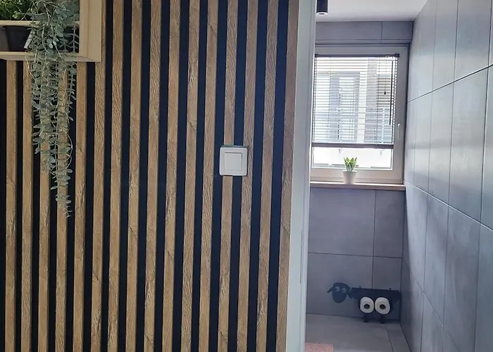 Przypudrowane Tpd 2a * Jastrzębia Góra